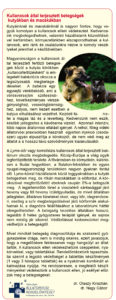 Patikatukorjuliusi